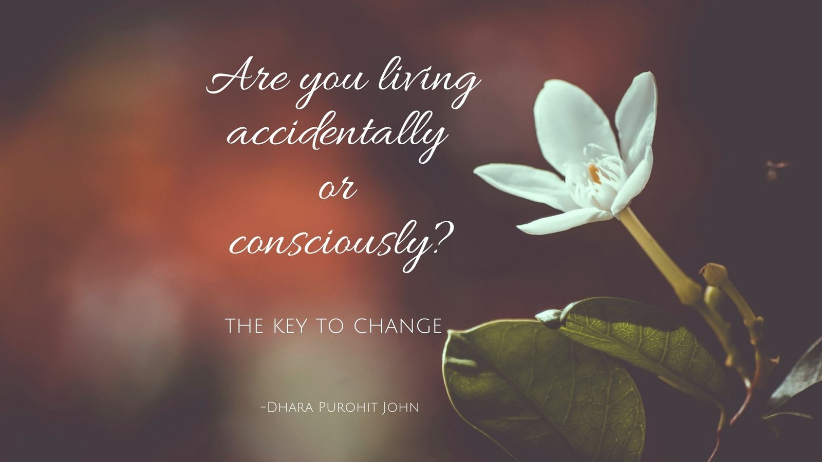 The key to change: Are you living accidentally or consciously?